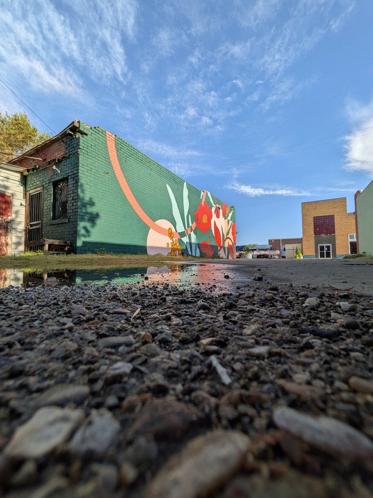 A photo taken in an alley, Amarillo, Texas. It shows a side view of a building painted dark green with a mural of poppies, leaves, and abstract arcs in varying shades of reds and greens. The photograph is an upshot, with blurred gravel in the foreground and a large puddle of rainwater reflecting the vivid colors of the mural in the middle ground.